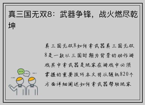 真三国无双8：武器争锋，战火燃尽乾坤